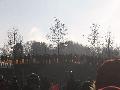 gal/Saison 2011/Championnat_Monde_Cyclo_cross_30_janvier_2011_St_Wendel/_thb_IMG_1844.JPG